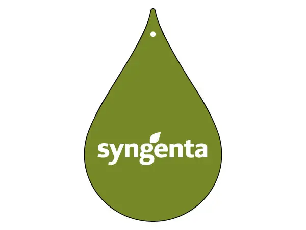 illatosito.info  Example:     illatosito.info Custom car air fresheners 1501